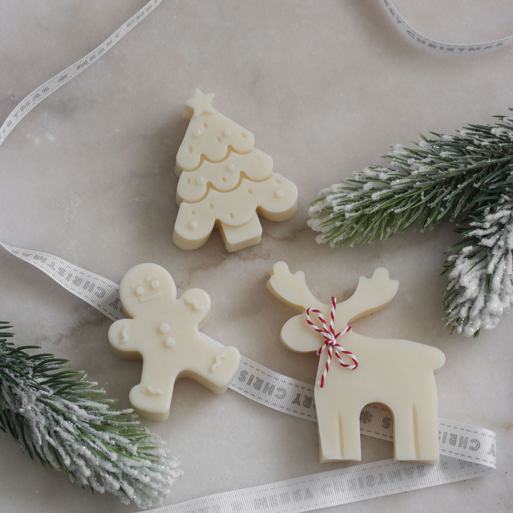 Fat Tui Soap Studio Christmas Gingerbread mini soap – handmade frankincense and balsam fir holiday soap in gift box, limited edition NZ